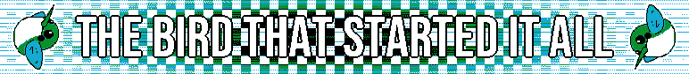 The bird that started it all | knitted scarf design