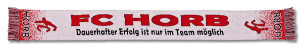 Team Fanschal Team Fanschal