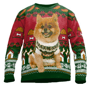 Custom dog sweater photo