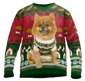 Custom Pet Christmas Sweater | Wildemasche