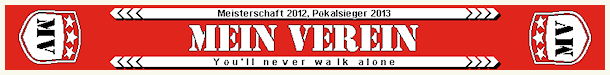 Mein Verein Fanschal