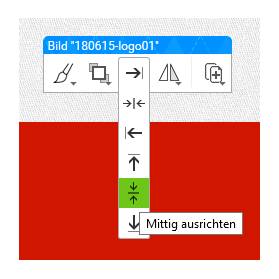 Fanschal Motiv ausrichten