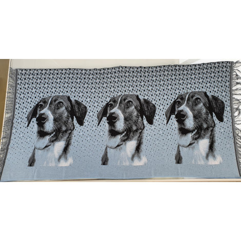 Strickjersey Panel Jersey