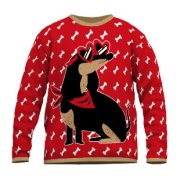 Dog on sweater 
