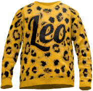 Leopard sweater Leo 