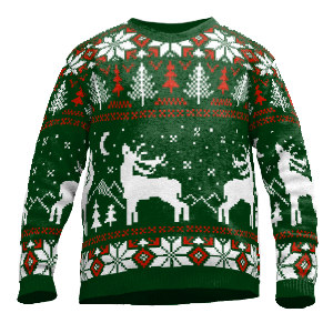 Observatorium Ecologie Uitgaan Christmas sweater reindeer custom knitted | Wildemasche