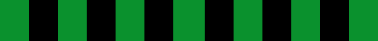 Fanschal Gladbach 