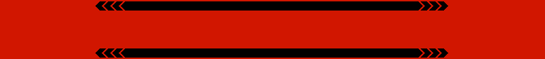 Fanschal schwarze Balken 