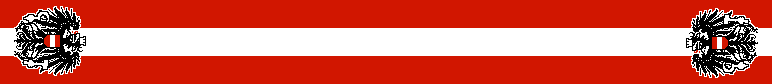 Fanschal Österreich 