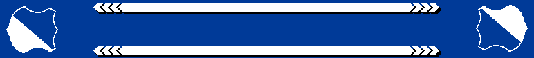Fanschal Hoffenheim 
