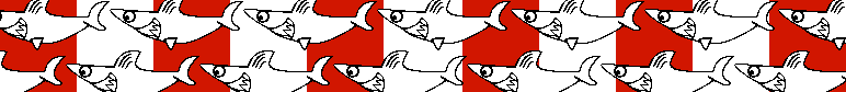 Team scarf sharks 