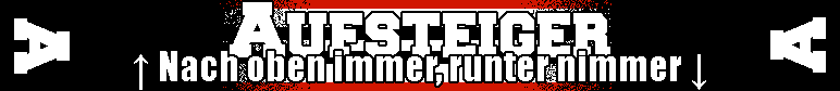 Fanschal Aufsteiger 