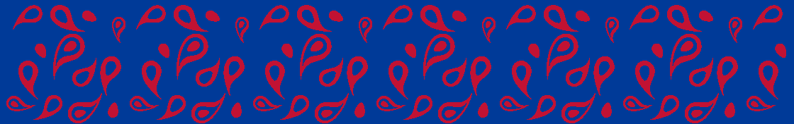 Design Schal Paisley 