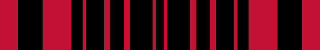 Design Schal mit Streifen 
