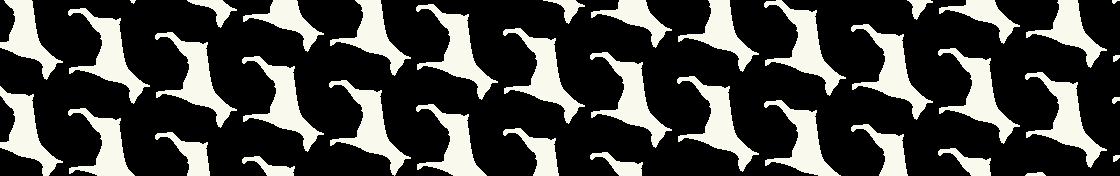 Merino-Schal Hunde 