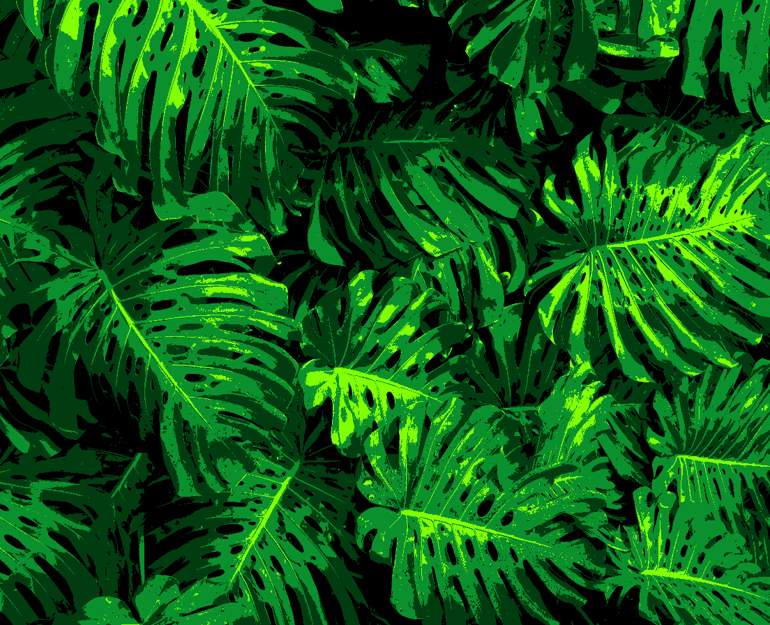 Strickdecke Monstera 
